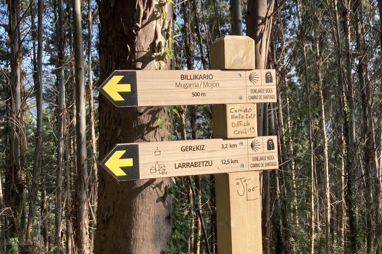 Camino de Santiago